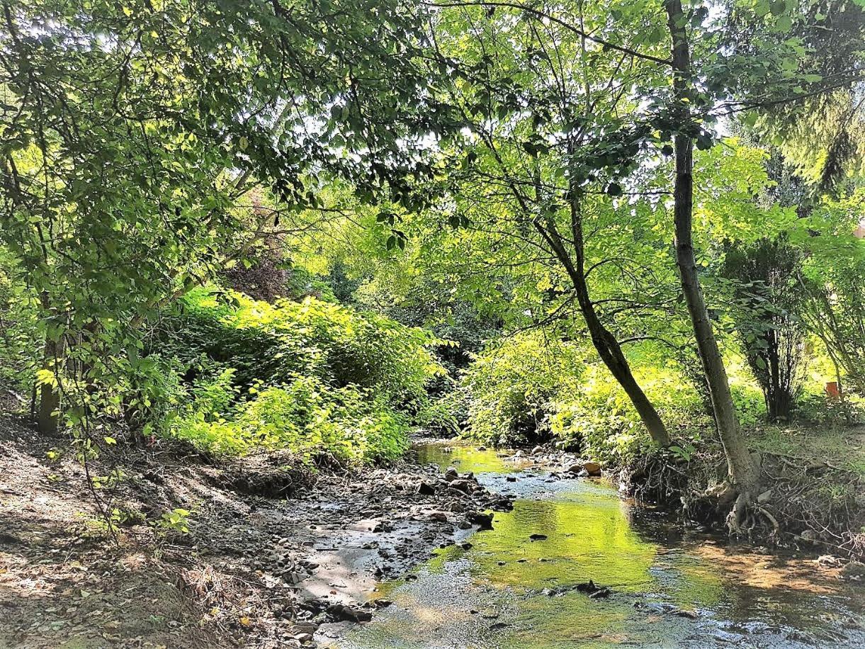 Muskatli Vendeghaz Hostel Parád Εξωτερικό φωτογραφία